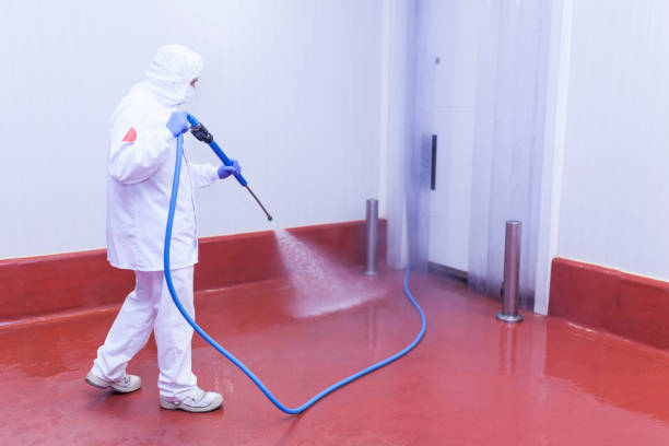 Best Sign and Awning Cleaning  in Buffalo Center, IA